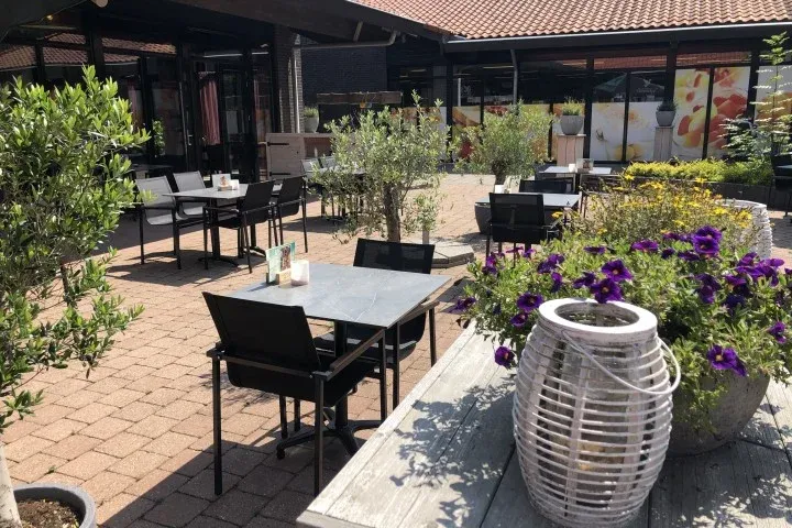 Terras